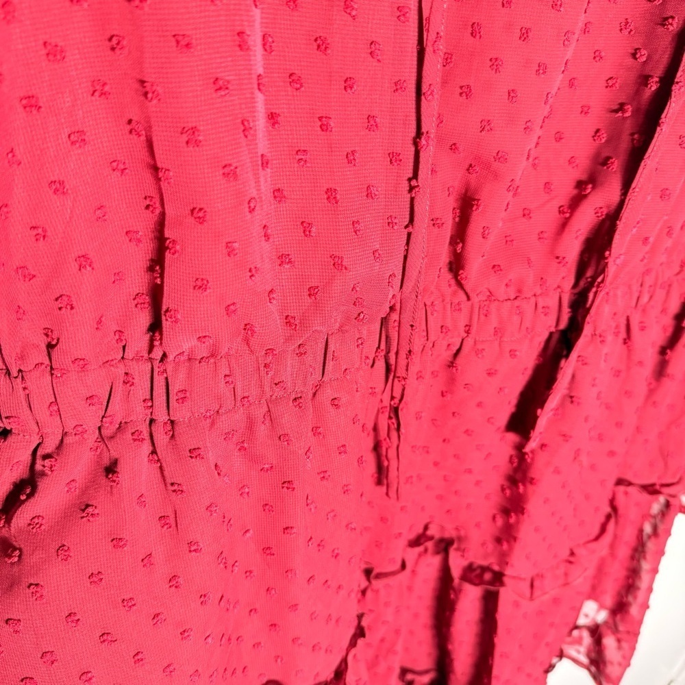 BTFBM Burgundy Swiss Dot Ruffle Dress NWT Size XXL - Picture 4 of 7